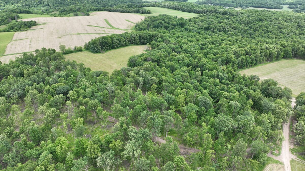 XX County Road Q, Downing WI 54734 - Land house for sale - MLS #1602322 - image24