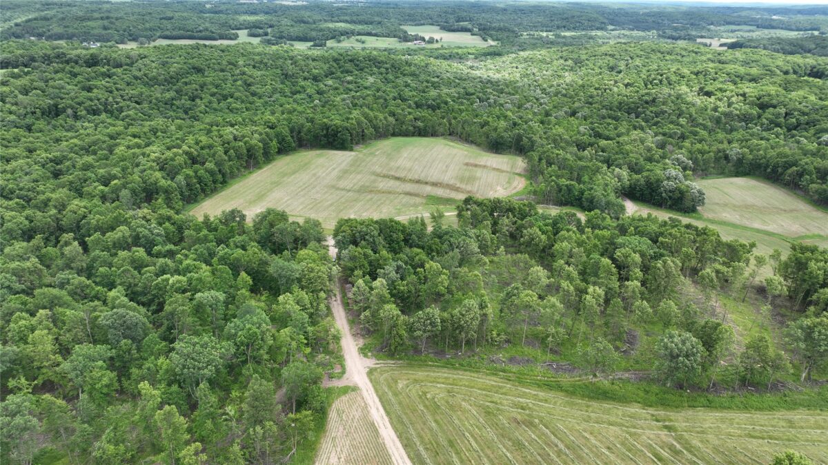 XX County Road Q, Downing WI 54734 - Land house for sale - MLS #1602322 - image25