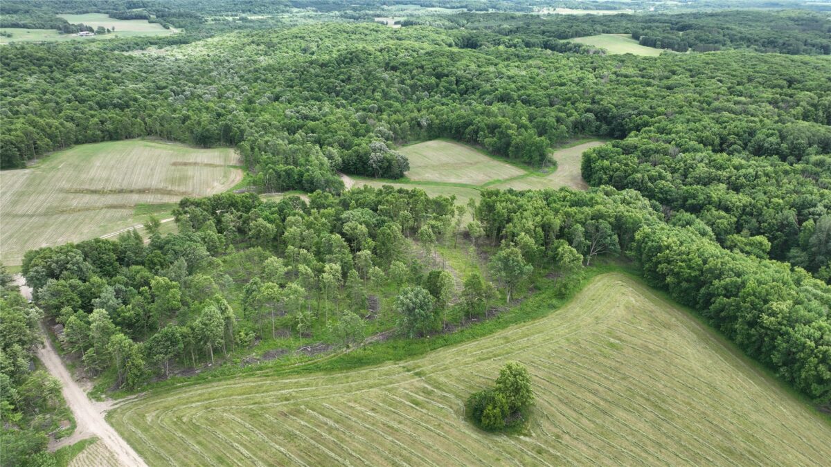 XX County Road Q, Downing WI 54734 - Land house for sale - MLS #1602322 - image27