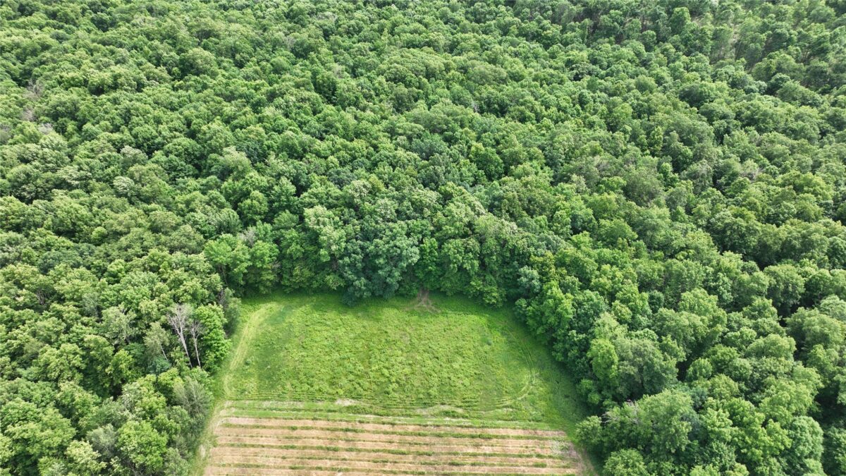 XX County Road Q, Downing WI 54734 - Land house for sale - MLS #1602322 - image28