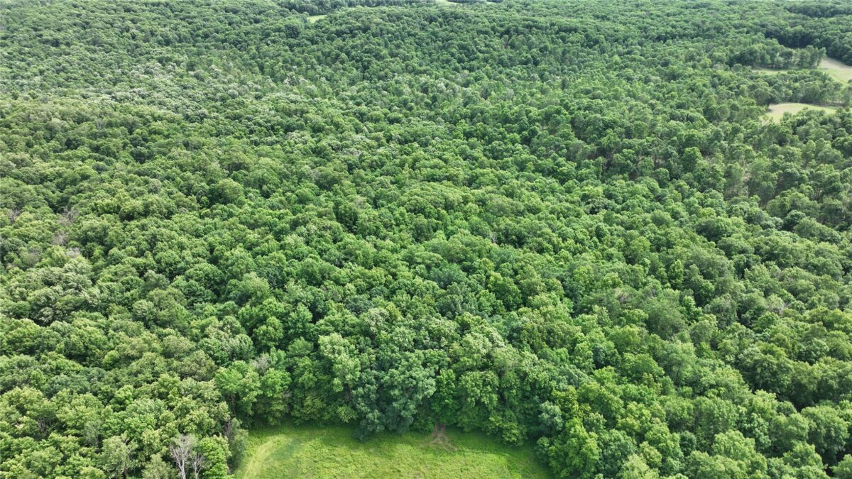 XX County Road Q, Downing WI 54734 - Land house for sale - MLS #1602322 - image29