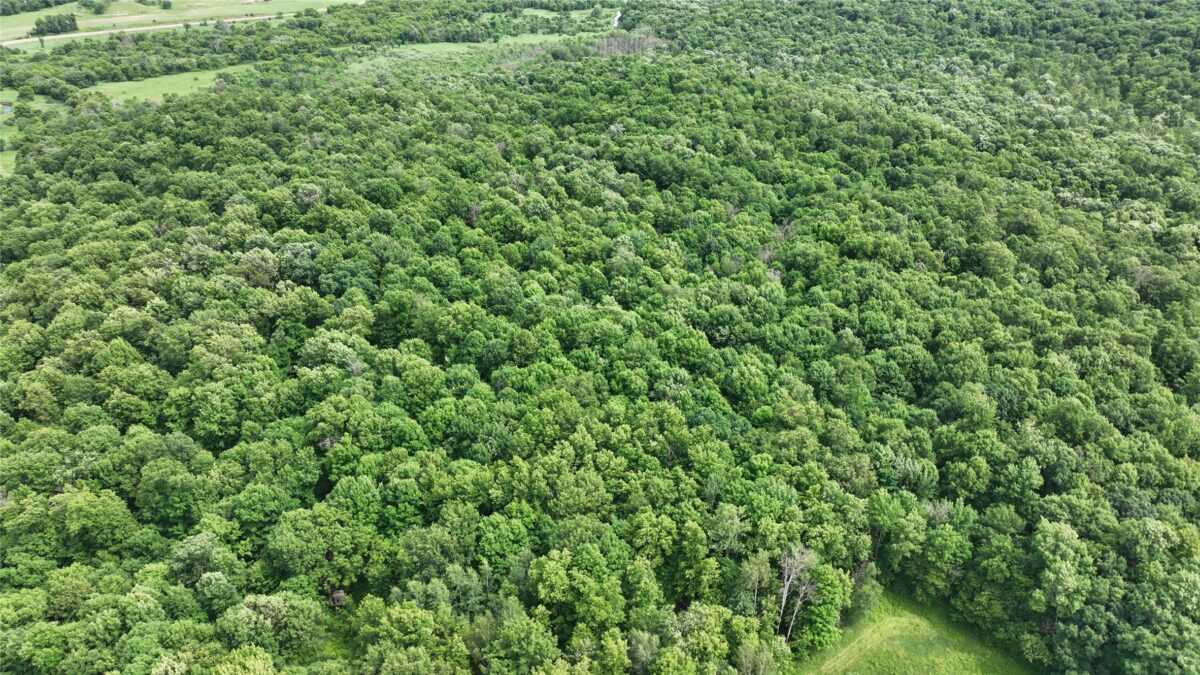 XX County Road Q, Downing WI 54734 - Land house for sale - MLS #1602322 - image30