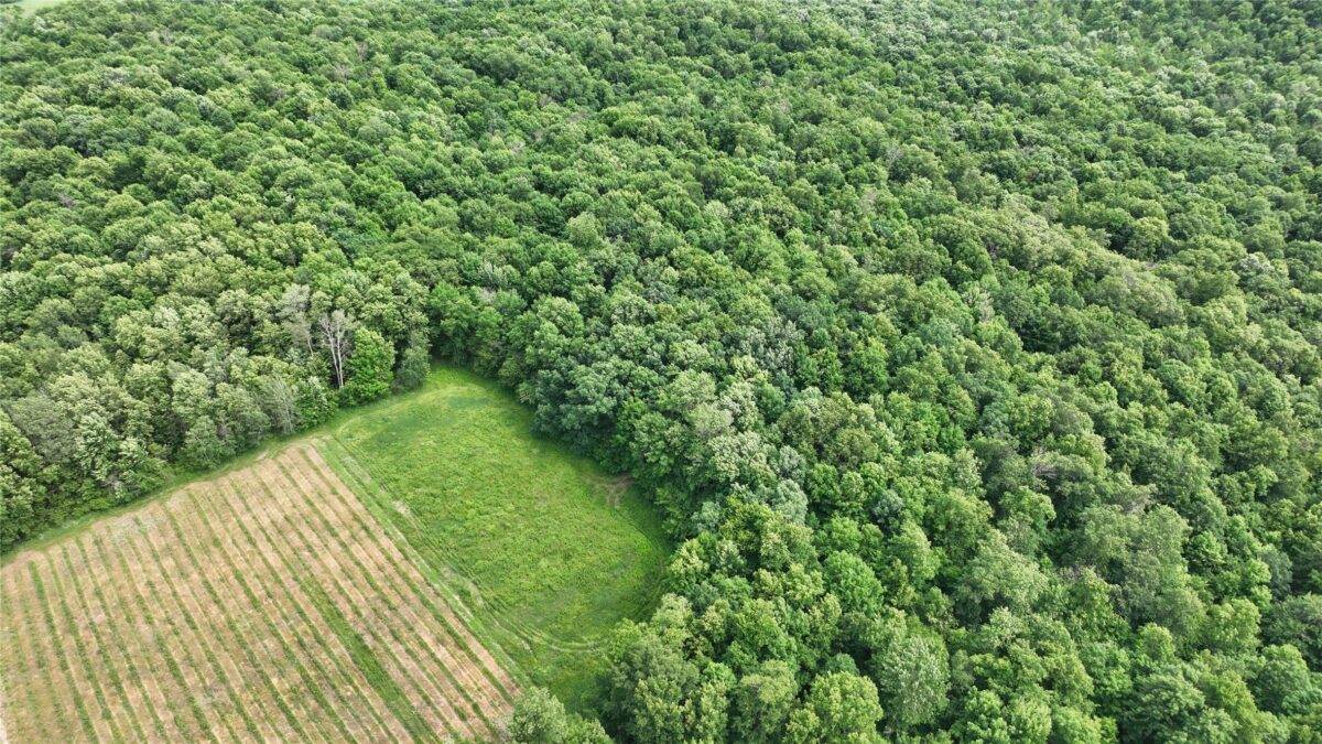 XX County Road Q, Downing WI 54734 - Land house for sale - MLS #1602322 - image31
