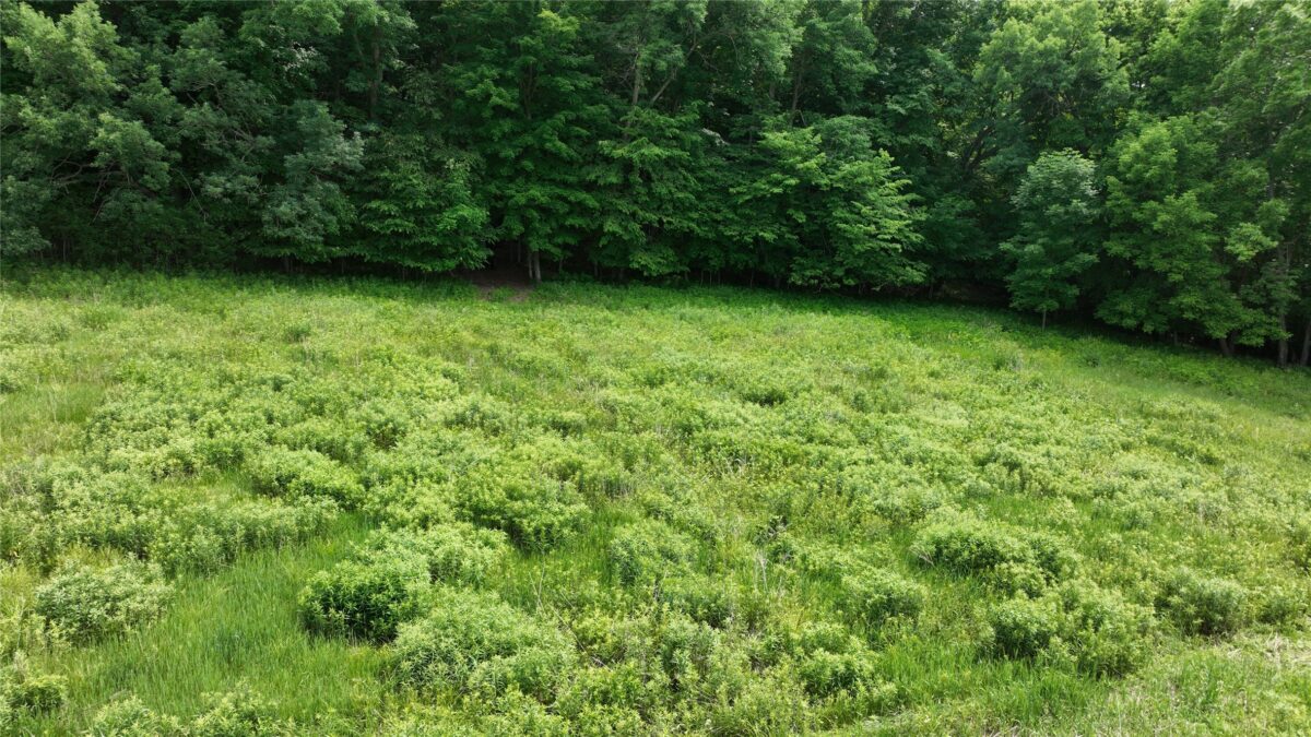 XX County Road Q, Downing WI 54734 - Land house for sale - MLS #1602322 - image32