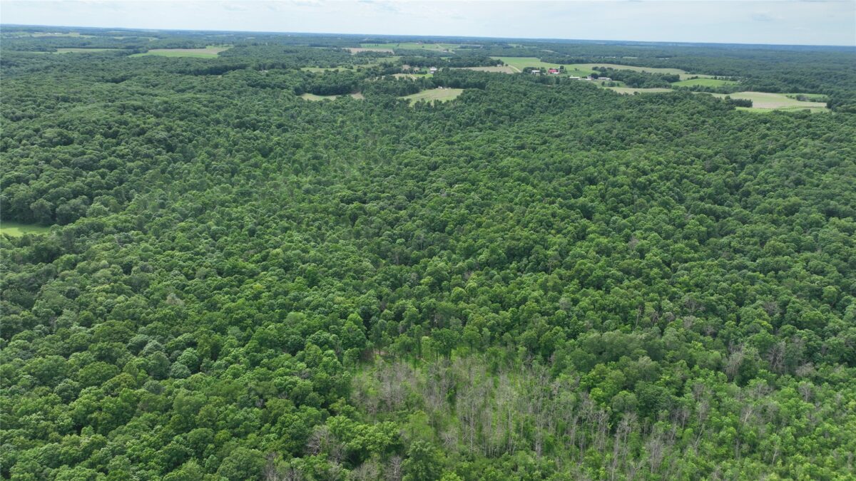 XX County Road Q, Downing WI 54734 - Land house for sale - MLS #1602322 - image33