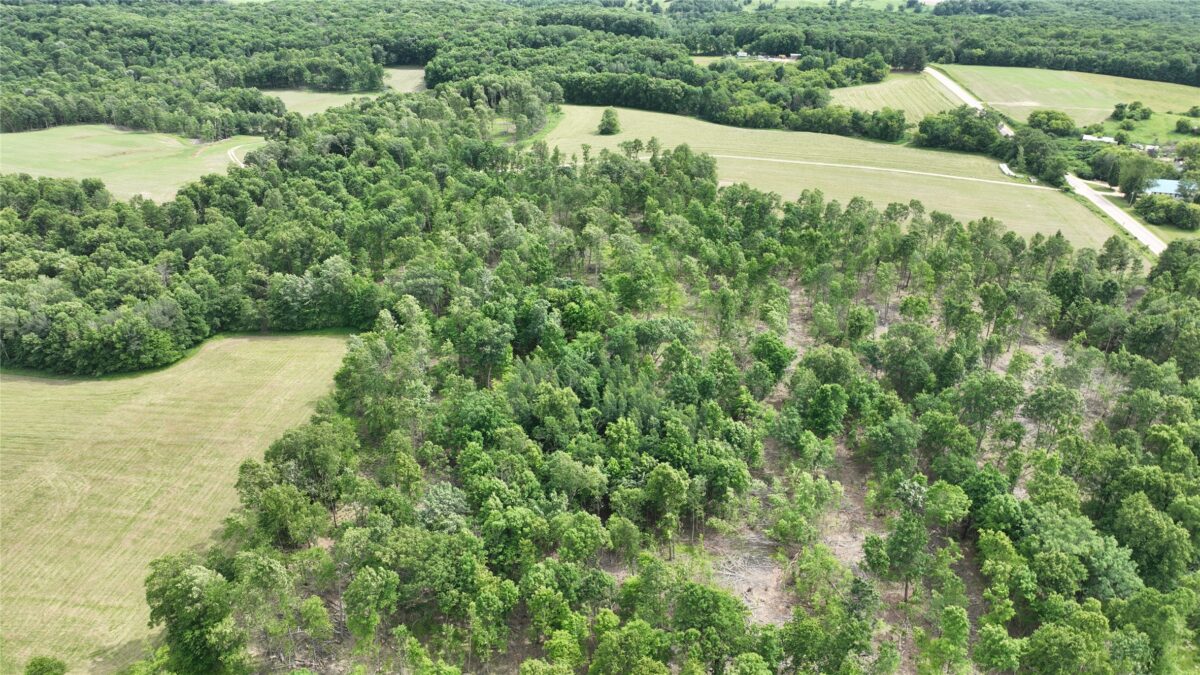 XX County Road Q, Downing WI 54734 - Land house for sale - MLS #1602322 - image34