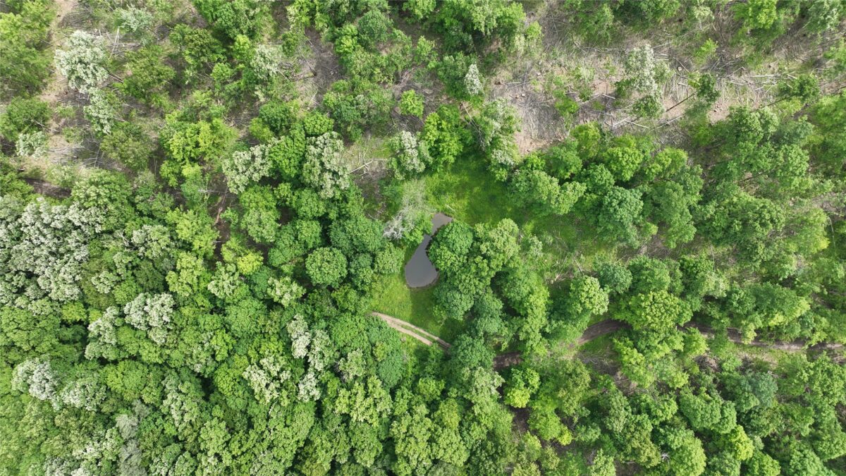 XX County Road Q, Downing WI 54734 - Land house for sale - MLS #1602322 - image36
