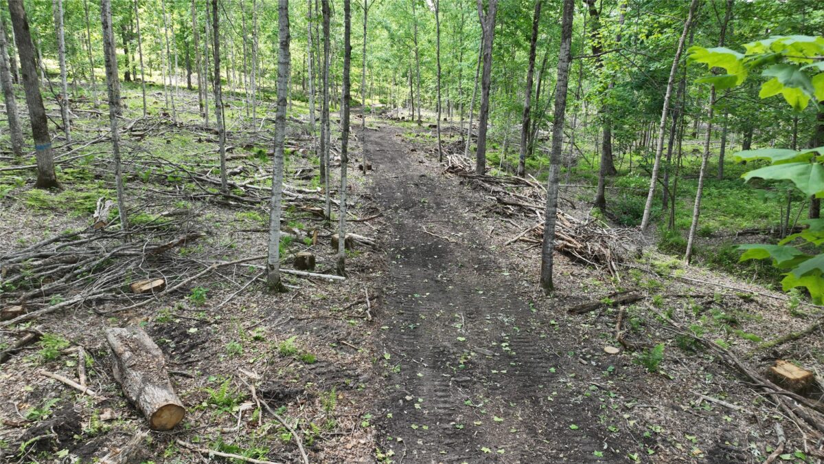 XX County Road Q, Downing WI 54734 - Land house for sale - MLS #1602322 - image37