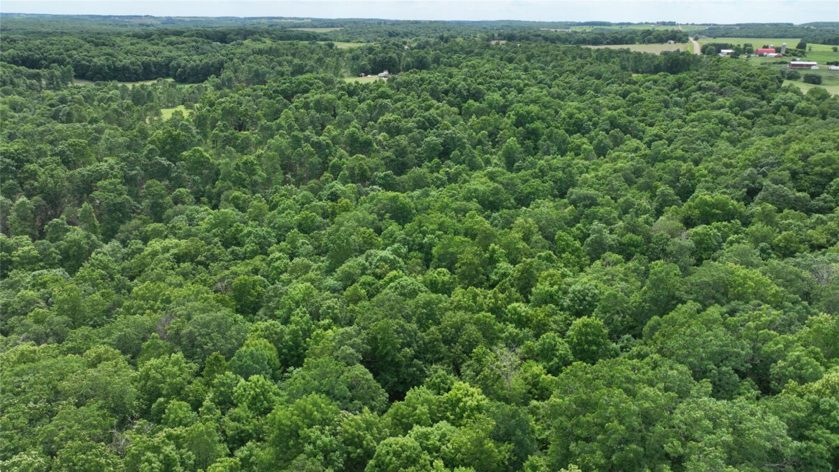 XX County Road Q, Downing WI 54734 - Land house for sale - MLS #1602322 - image38