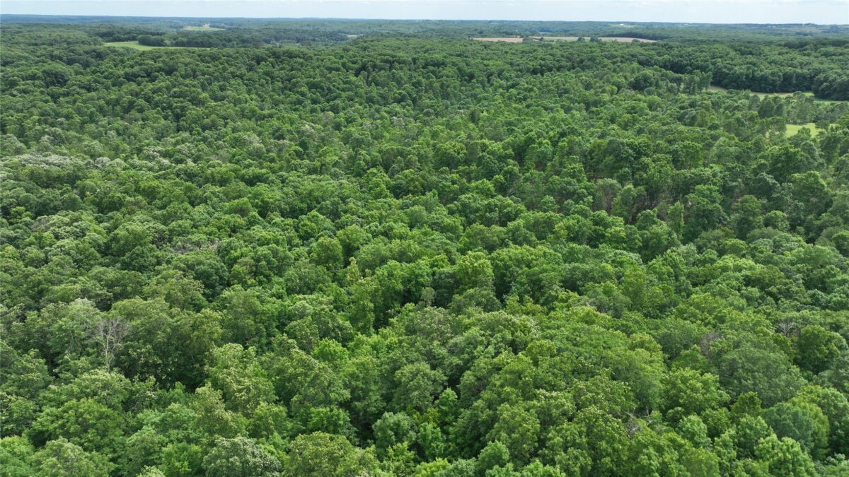 XX County Road Q, Downing WI 54734 - Land house for sale - MLS #1602322 - image39