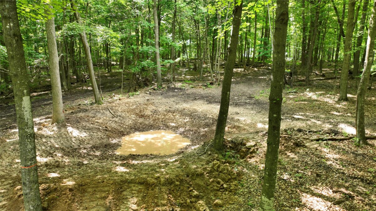XX County Road Q, Downing WI 54734 - Land house for sale - MLS #1602322 - image42