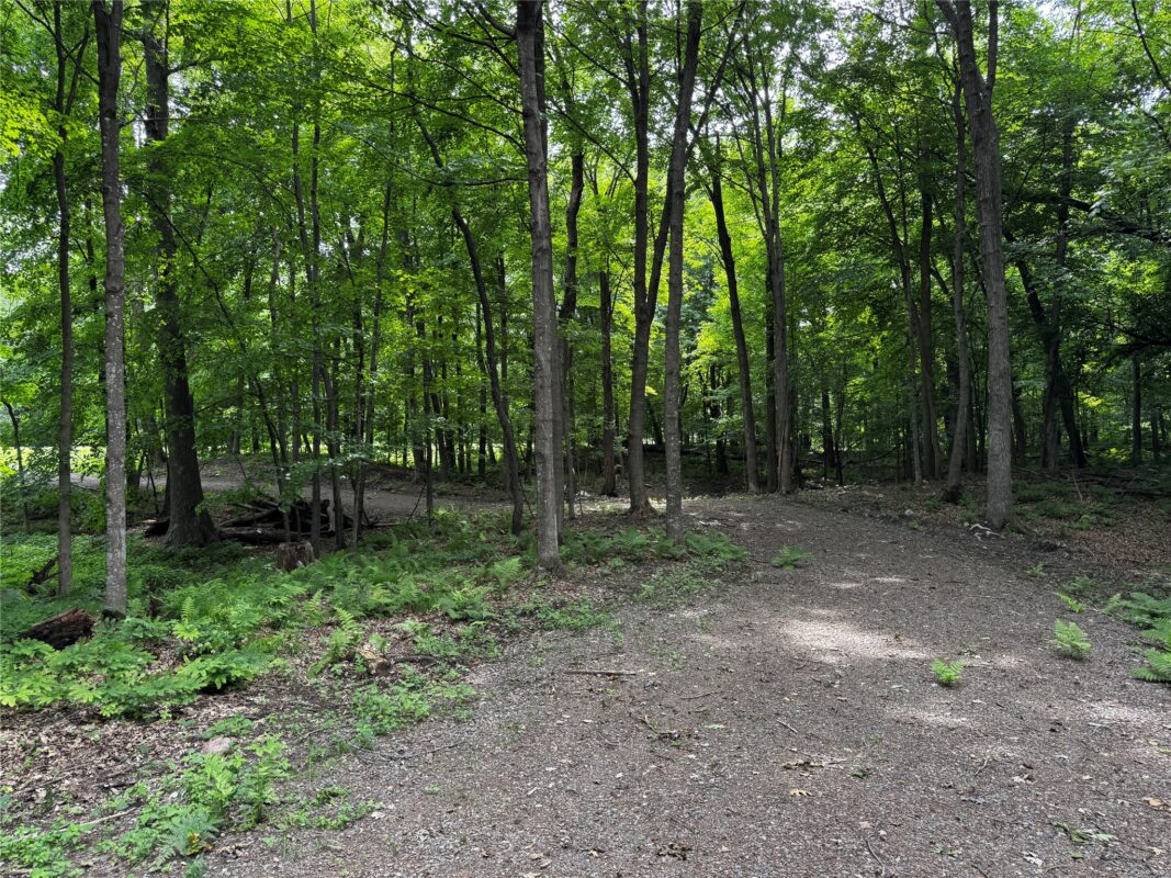 XXX County Road I, Balsam Lake WI 54810 - Land house for sale - MLS #1602879 - image12