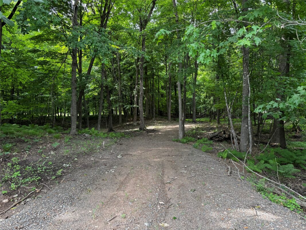 XXX County Road I, Balsam Lake WI 54810 - Land house for sale - MLS #1602879 - image13
