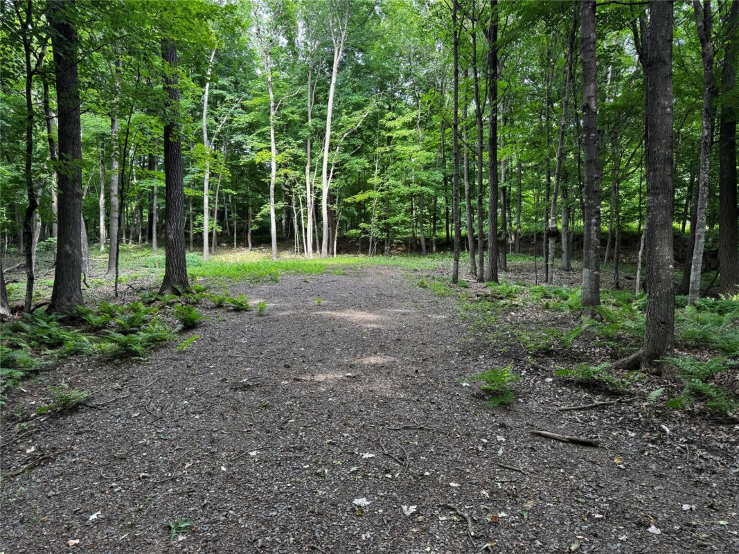 XXX County Road I, Balsam Lake WI 54810 - Land house for sale - MLS #1602879 - image10