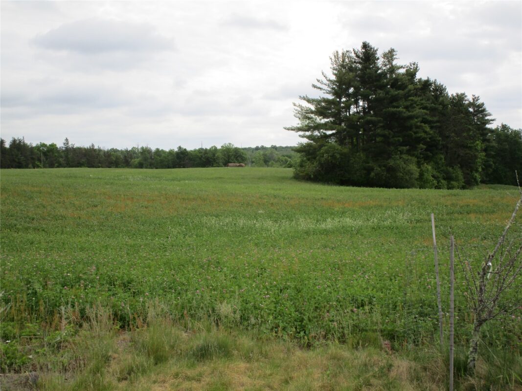 xx River Pine Drive, Ladysmith WI 54848 - Land house for sale - MLS #1601918 - image2