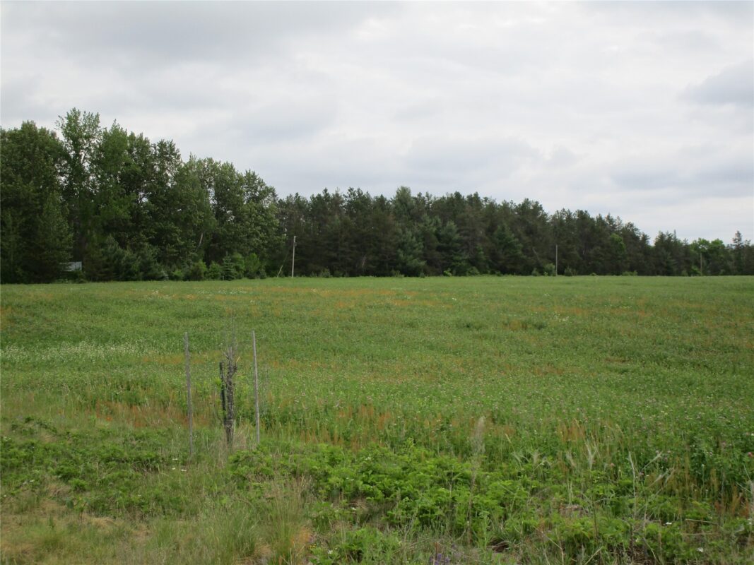 xx River Pine Drive, Ladysmith WI 54848 - Land house for sale - MLS #1601918 - image3