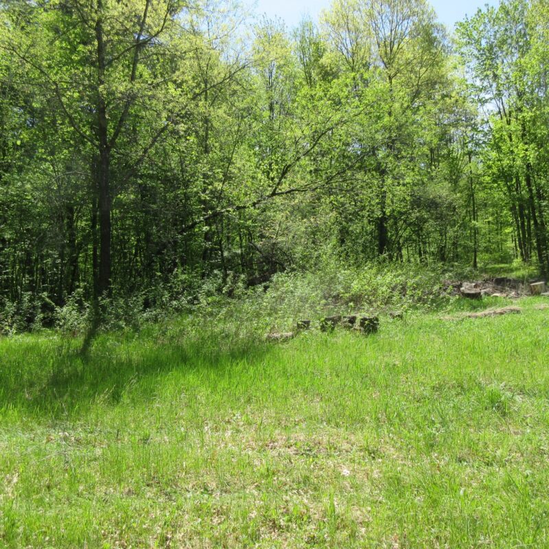 xxx 810th Avenue, Boyceville WI 54751 - Land house for sale - MLS #1601282 - image2