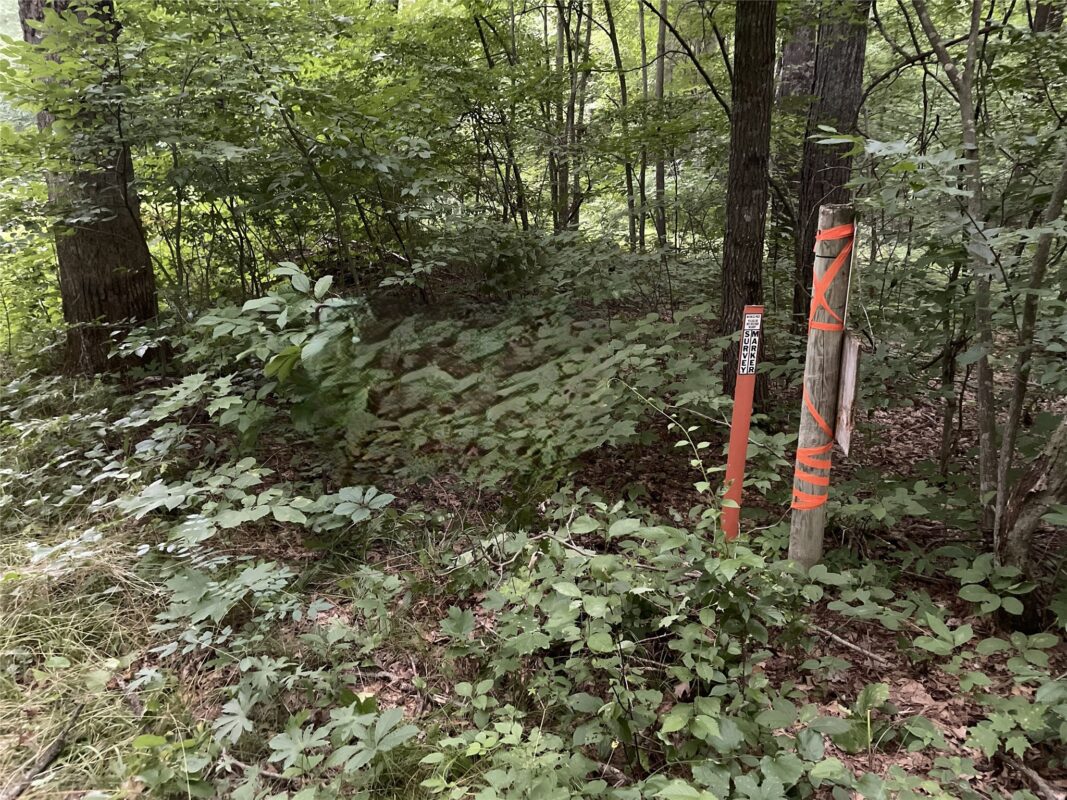 xxx 810th Avenue, Boyceville WI 54751 - Land house for sale - MLS #1601282 - image4