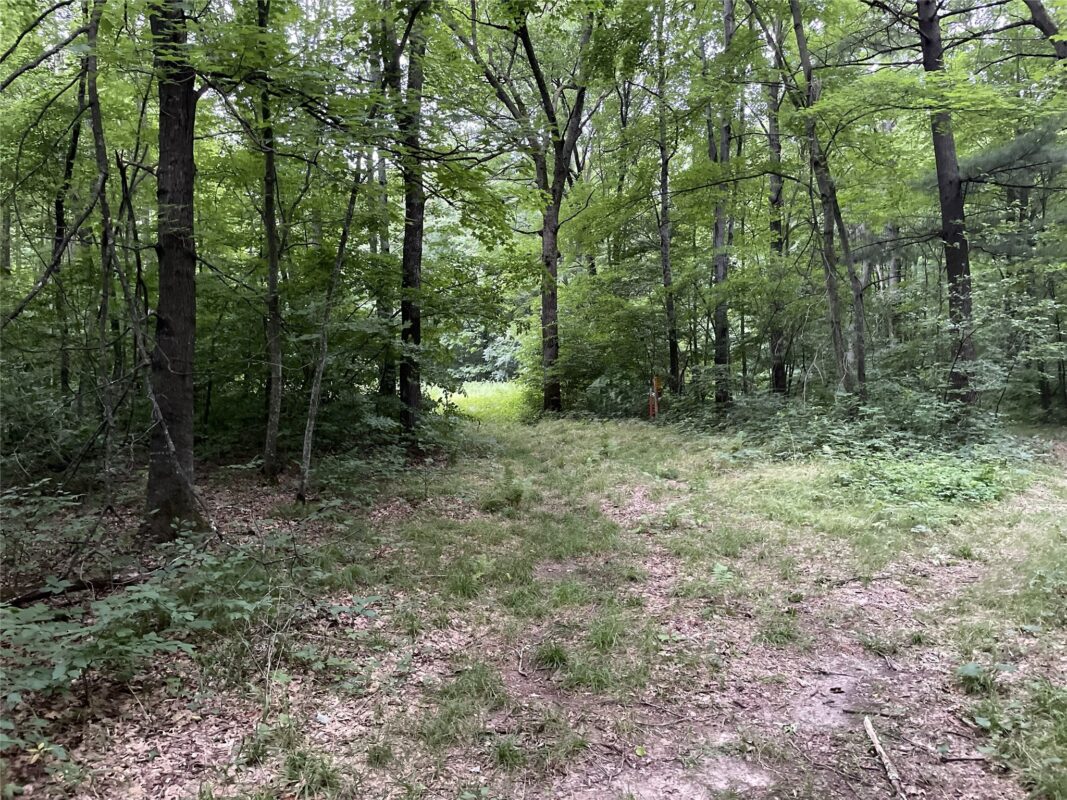 xxx 810th Avenue, Boyceville WI 54751 - Land house for sale - MLS #1601282 - image5