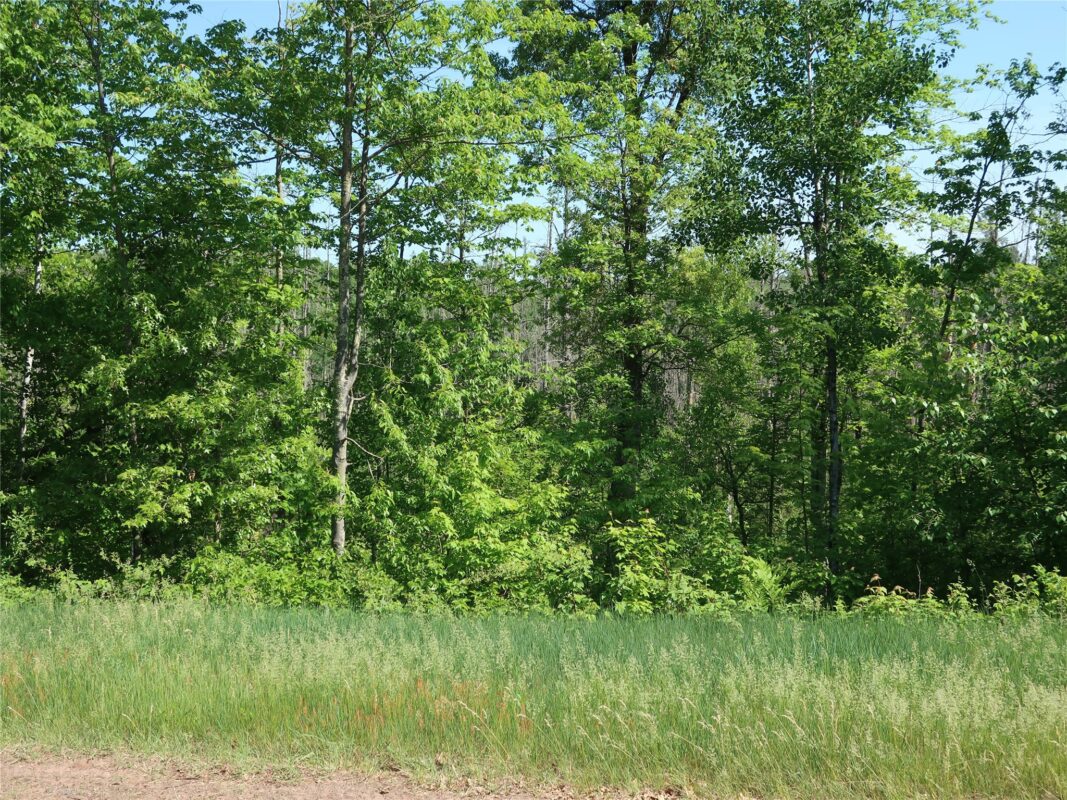 xxx Hayden Lake Drive, Danbury WI 54830 - Land house for sale - MLS #1601864 - image13