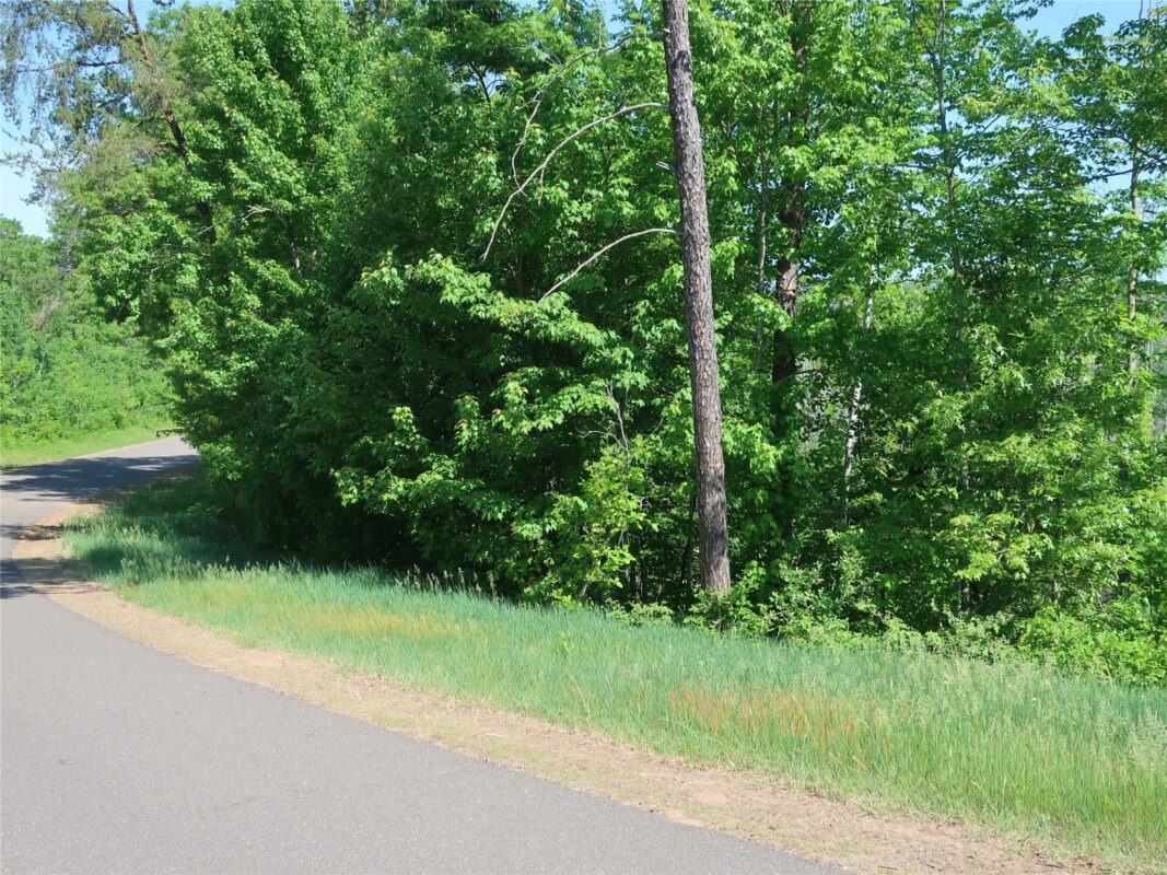 xxx Hayden Lake Drive, Danbury WI 54830 - Land house for sale - MLS #1601864 - image14