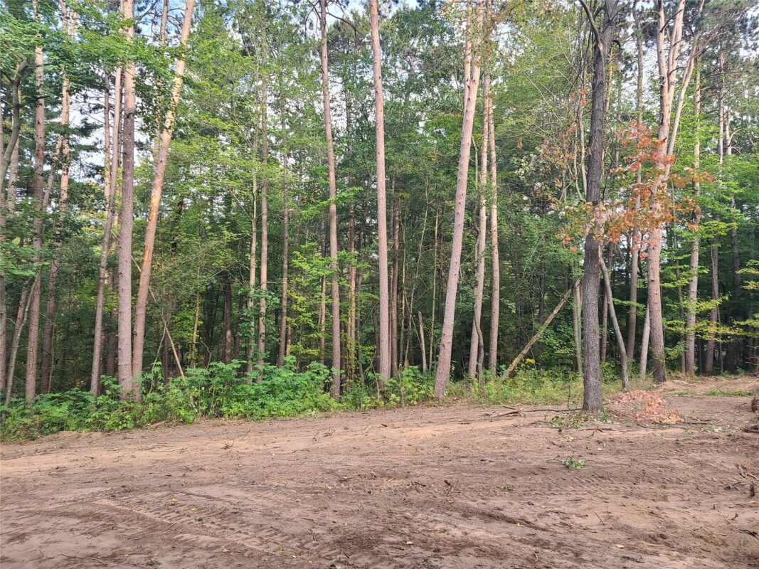 0 21 7/8 Street, Cameron WI 54822 - Land house for sale - MLS #1604295 - image12