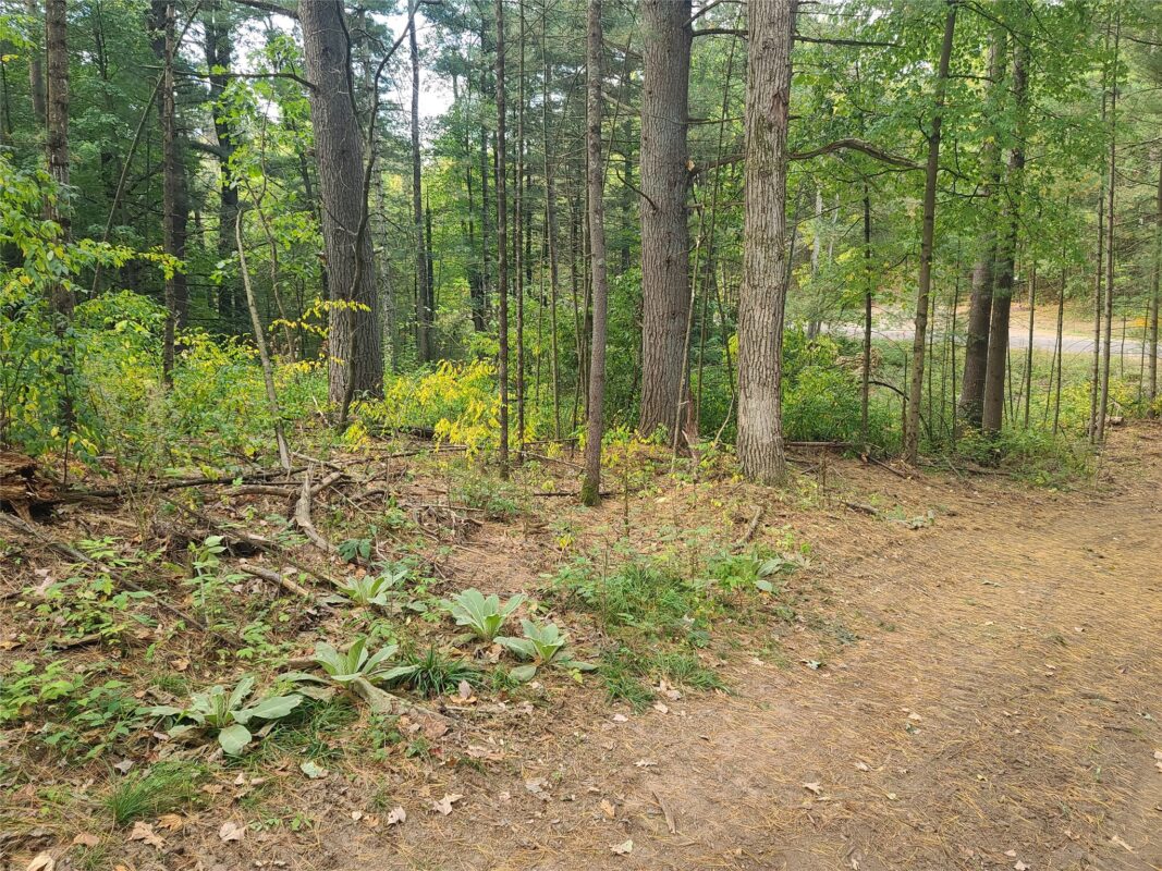 0 21 7/8 Street, Cameron WI 54822 - Land house for sale - MLS #1604295 - image9