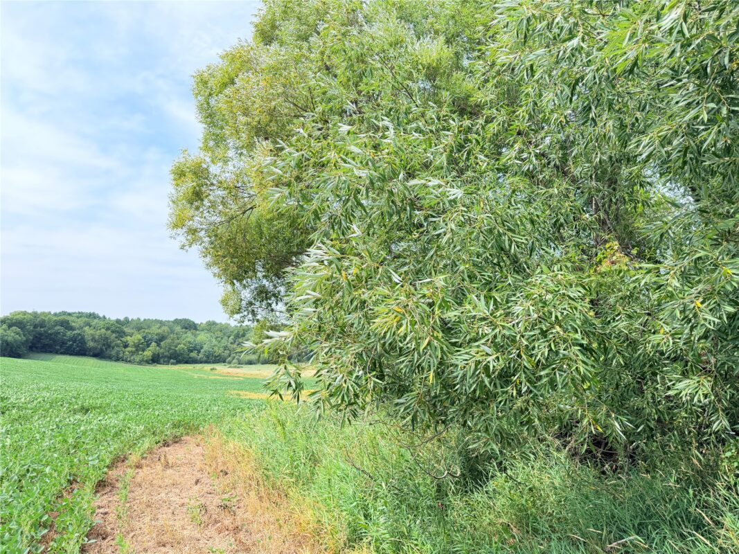 0 215th Street, St Croix Falls WI 54024 - Land house for sale - MLS #1604216 - image11