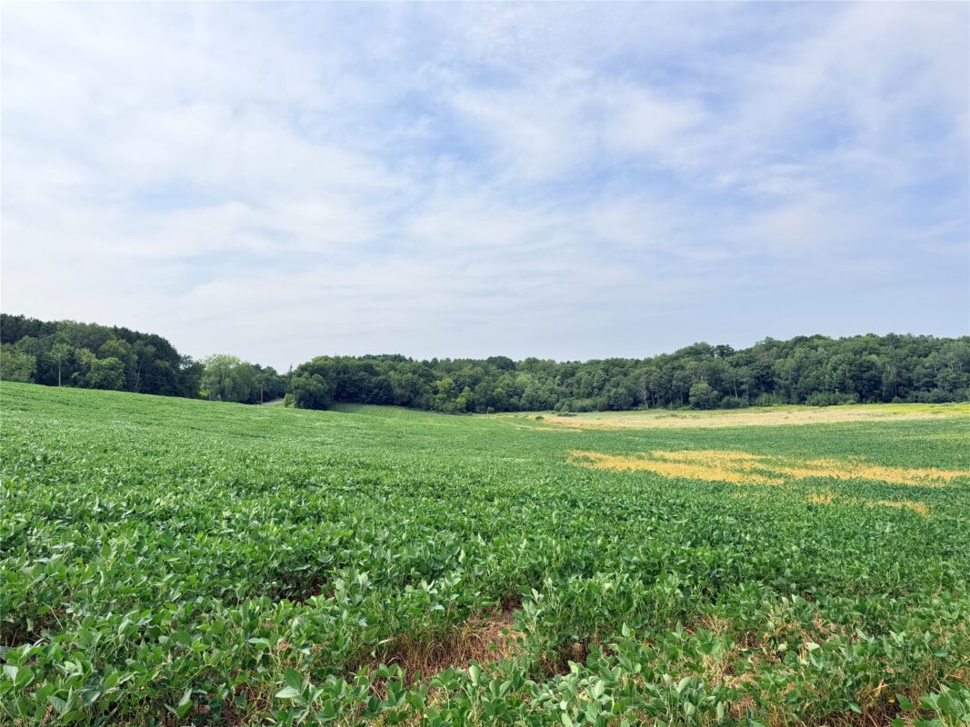 0 215th Street, St Croix Falls WI 54024 - Land house for sale - MLS #1604216 - image12