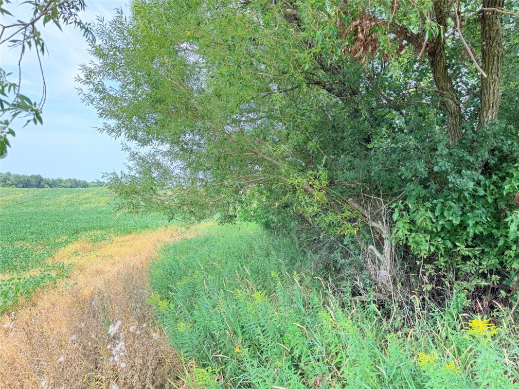 0 215th Street, St Croix Falls WI 54024 - Land house for sale - MLS #1604216 - image13