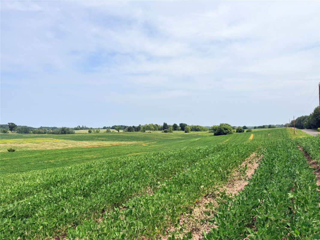 0 215th Street, St Croix Falls WI 54024 - Land house for sale - MLS #1604216 - image14