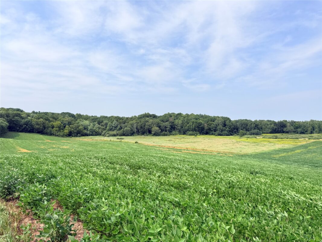0 215th Street, St Croix Falls WI 54024 - Land house for sale - MLS #1604216 - image15