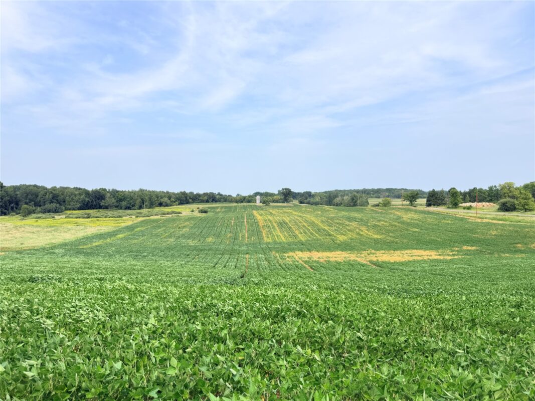 0 215th Street, St Croix Falls WI 54024 - Land house for sale - MLS #1604216 - image17