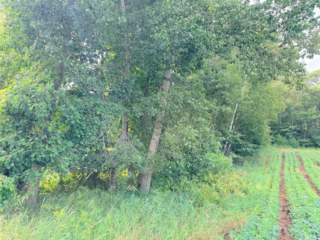 0 215th Street, St Croix Falls WI 54024 - Land house for sale - MLS #1604216 - image18
