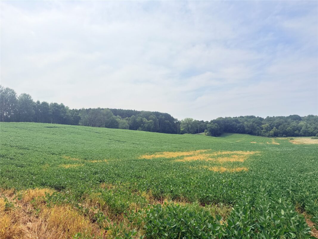 0 215th Street, St Croix Falls WI 54024 - Land house for sale - MLS #1604216 - image20