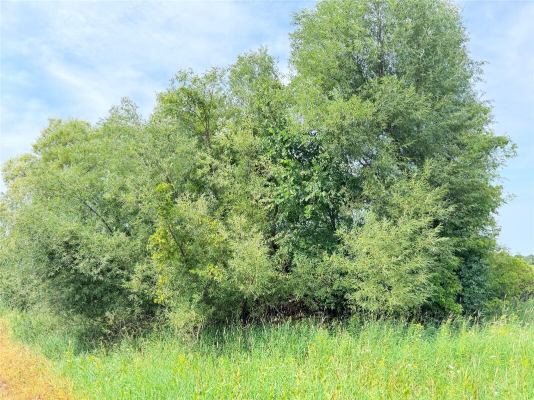 0 215th Street, St Croix Falls WI 54024 - Land house for sale - MLS #1604216 - image21
