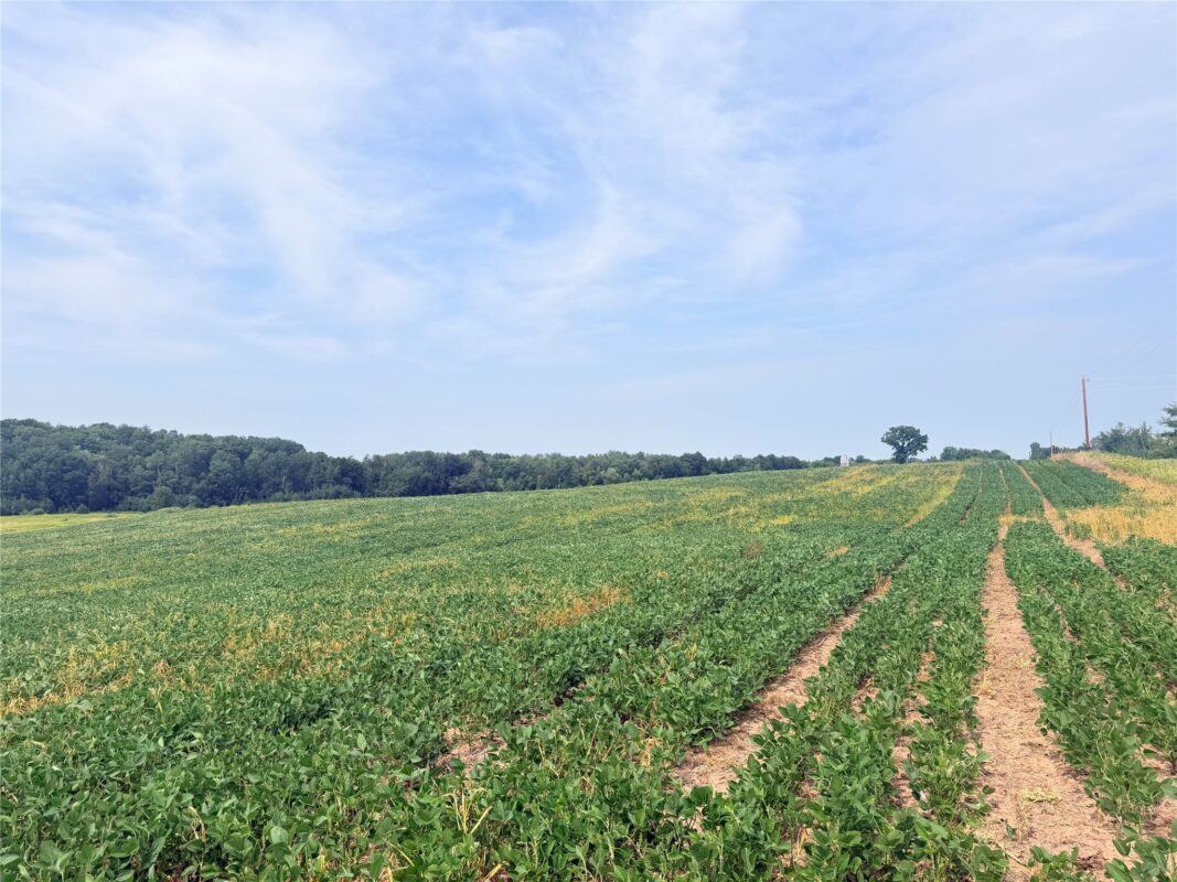 0 215th Street, St Croix Falls WI 54024 - Land house for sale - MLS #1604216 - image22