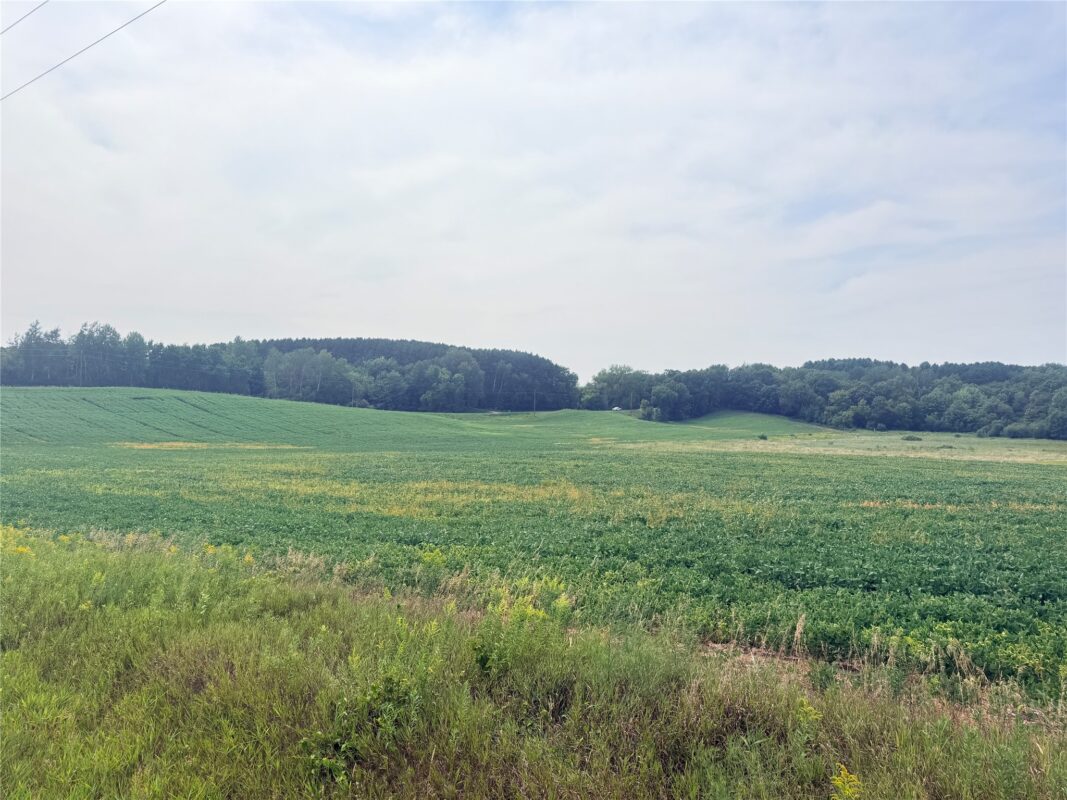 0 215th Street, St Croix Falls WI 54024 - Land house for sale - MLS #1604216 - image23