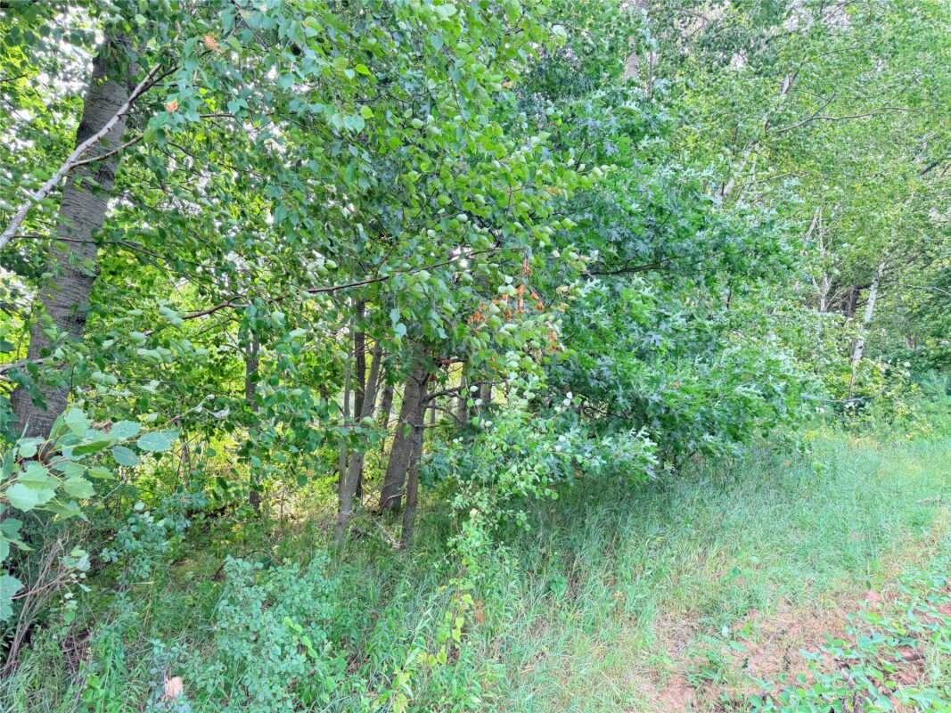 0 215th Street, St Croix Falls WI 54024 - Land house for sale - MLS #1604216 - image5