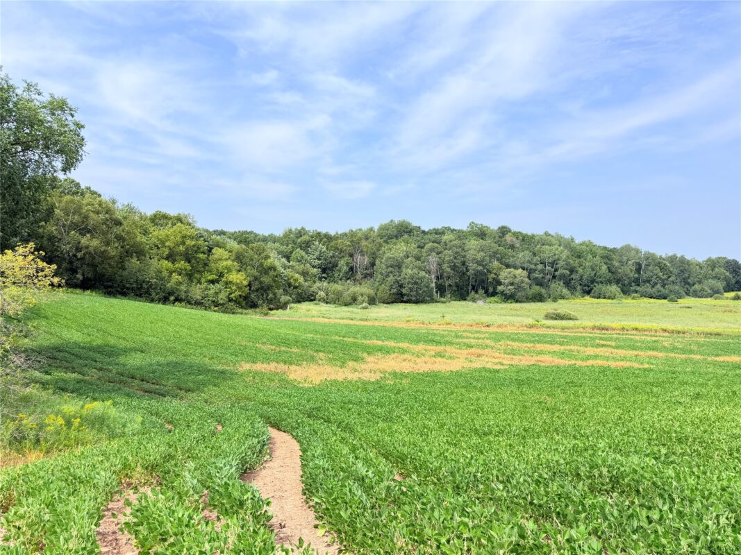 0 215th Street, St Croix Falls WI 54024 - Land house for sale - MLS #1604216 - image6