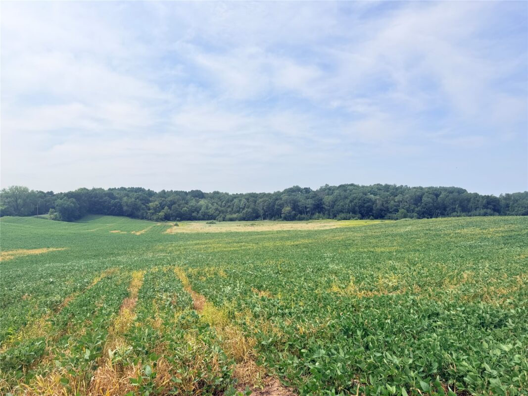 0 215th Street, St Croix Falls WI 54024 - Land house for sale - MLS #1604216 - image7