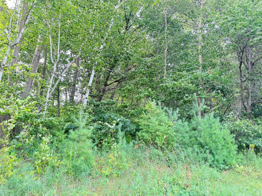 0 215th Street, St Croix Falls WI 54024 - Land house for sale - MLS #1604216 - image8