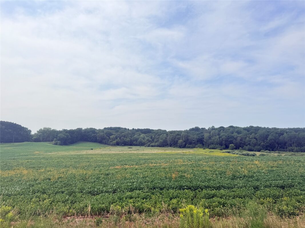 0 215th Street, St Croix Falls WI 54024 - Land house for sale - MLS #1604216 - image9