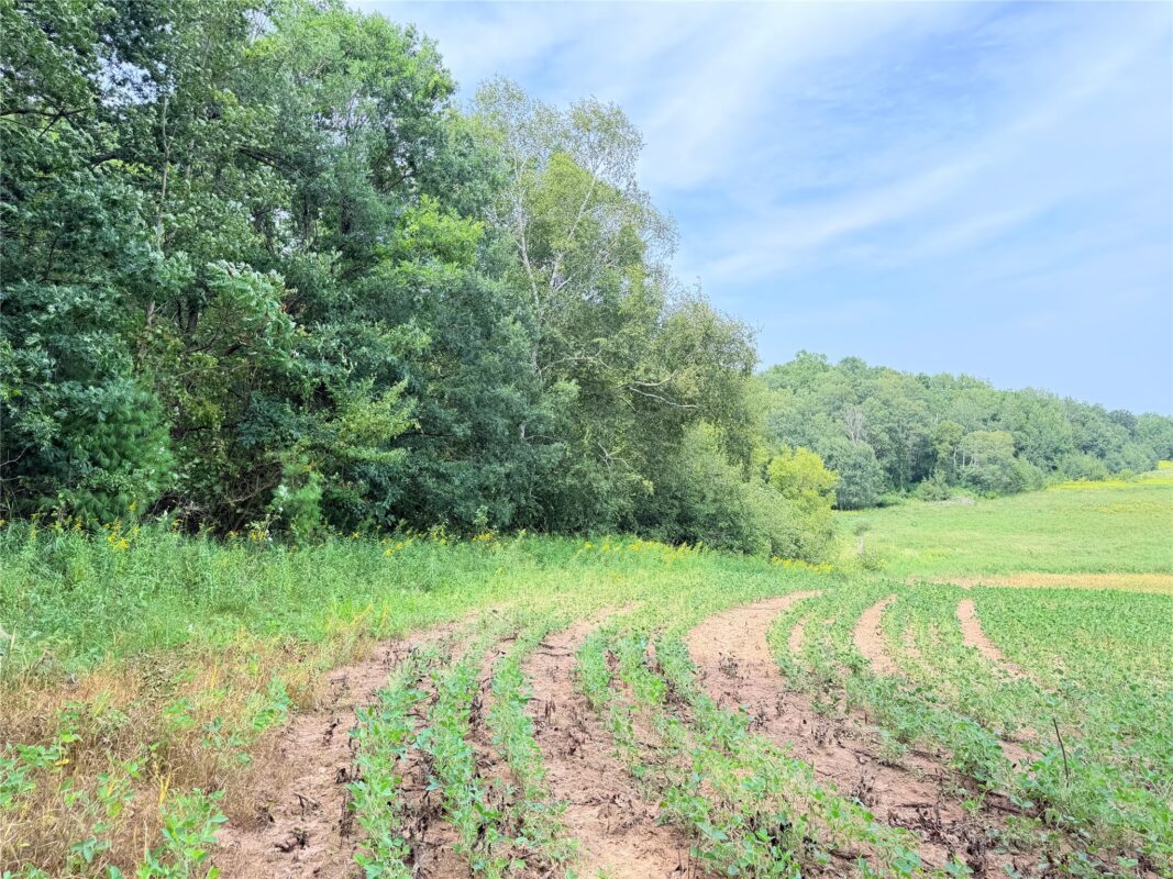 0 215th Street, St Croix Falls WI 54024 - Land house for sale - MLS #1604216 - image10