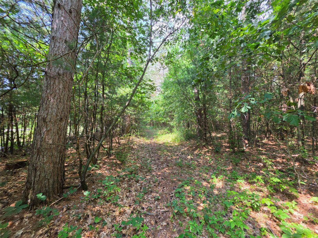 0 Country Road C Road, Elk Mound WI 54739 - Land house for sale - MLS #1603775 - image3