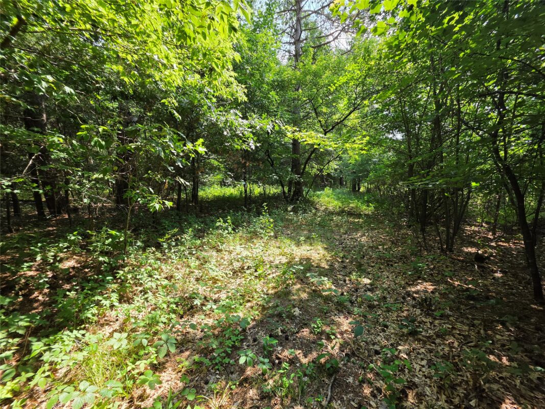0 Country Road C Road, Elk Mound WI 54739 - Land house for sale - MLS #1603775 - image4