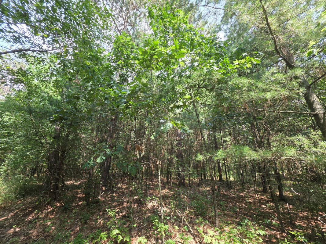 0 Country Road C Road, Elk Mound WI 54739 - Land house for sale - MLS #1603775 - image5
