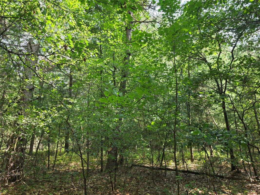 0 Country Road C, Elk Mound WI 54739 - Land house for sale - MLS #1603775 - image6