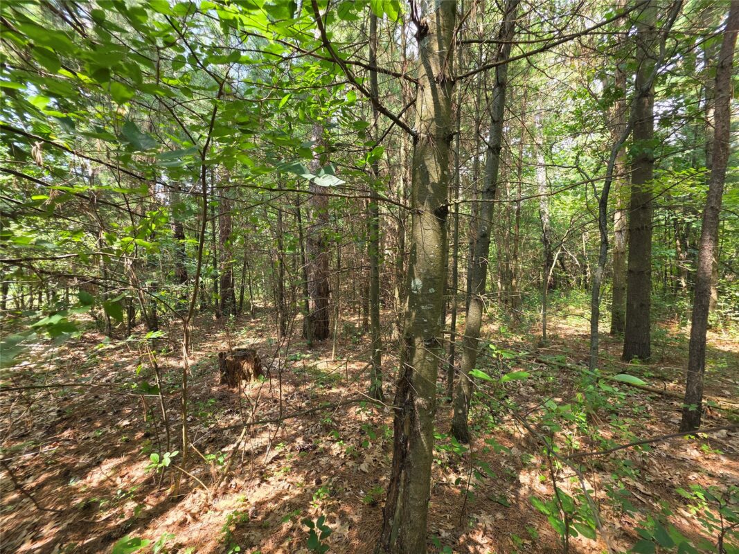 0 Country Road C, Elk Mound WI 54739 - Land house for sale - MLS #1603775 - image7