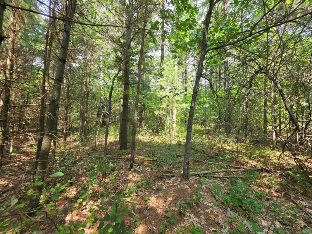 0 Country Road C Road, Elk Mound WI 54739 - Land house for sale - MLS #1603775 - image8